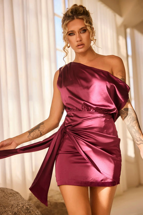 Still Lovers Mini Dress - Plum