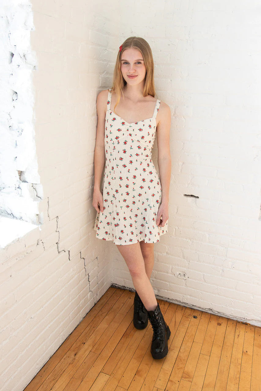Rose Print Fit & Flare Mini Dress
