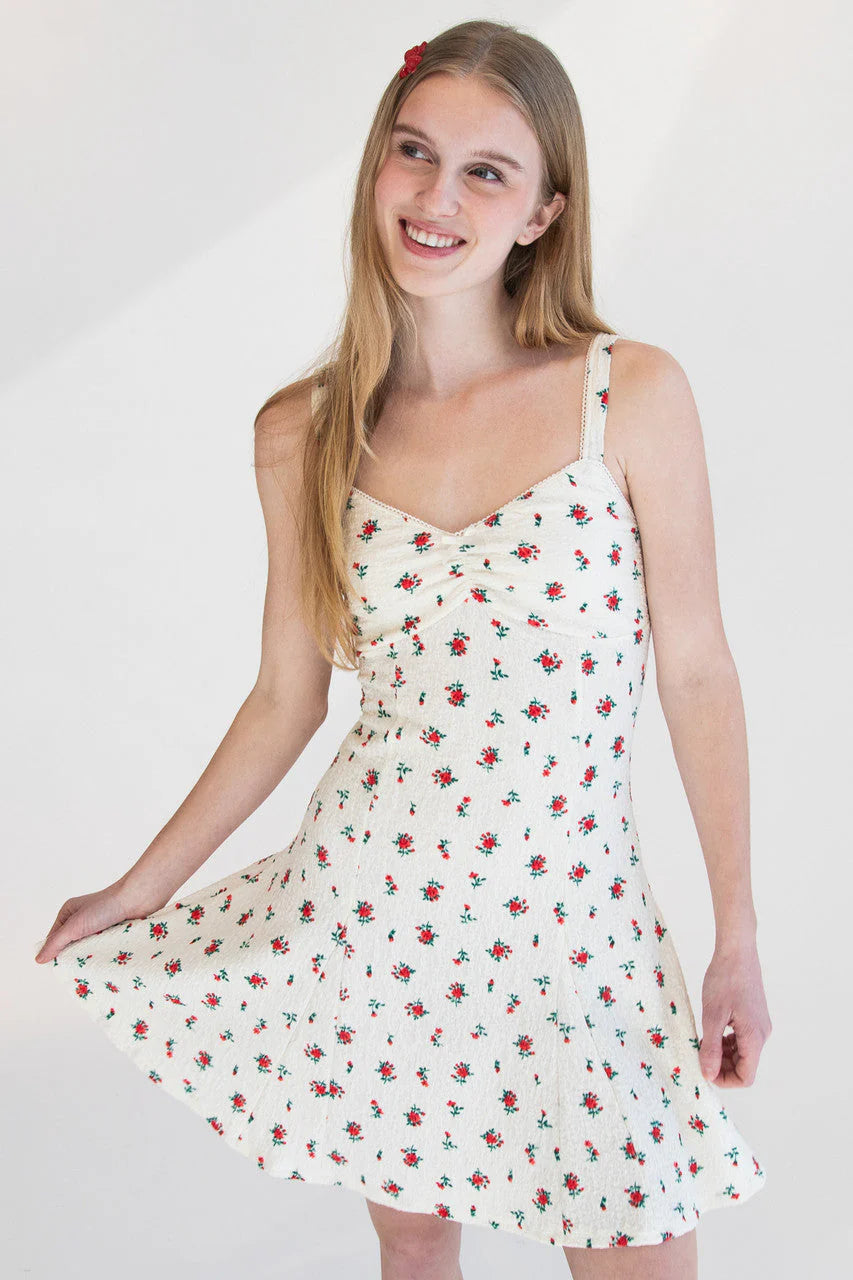 Rose Print Fit & Flare Mini Dress