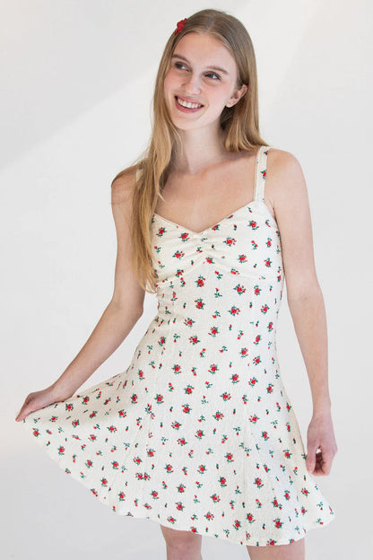 Rose Print Fit & Flare Mini Dress