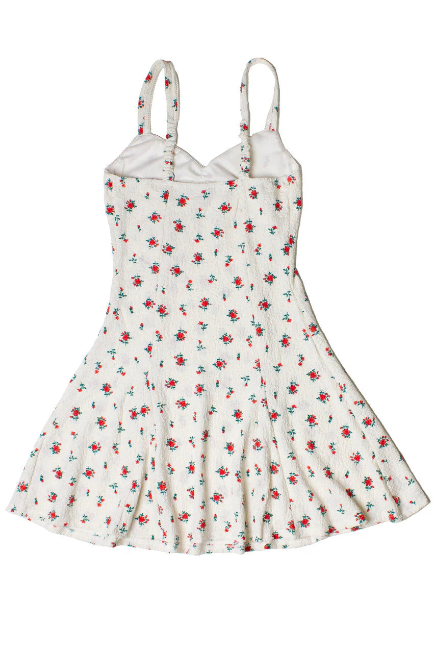 Rose Print Fit & Flare Mini Dress