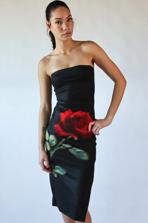 Rose Graphic Mesh Midi Tube Dress