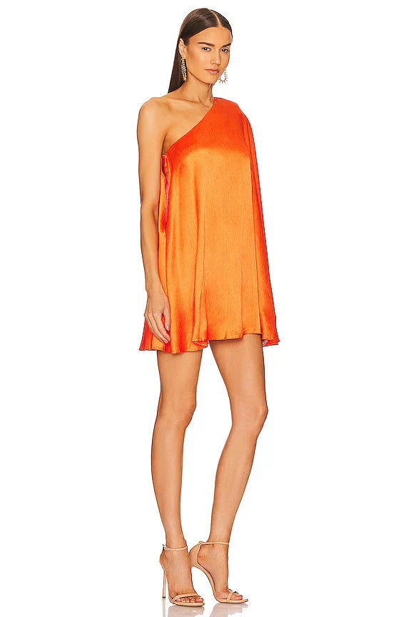 x REVOLVE Barbara Mini Dress