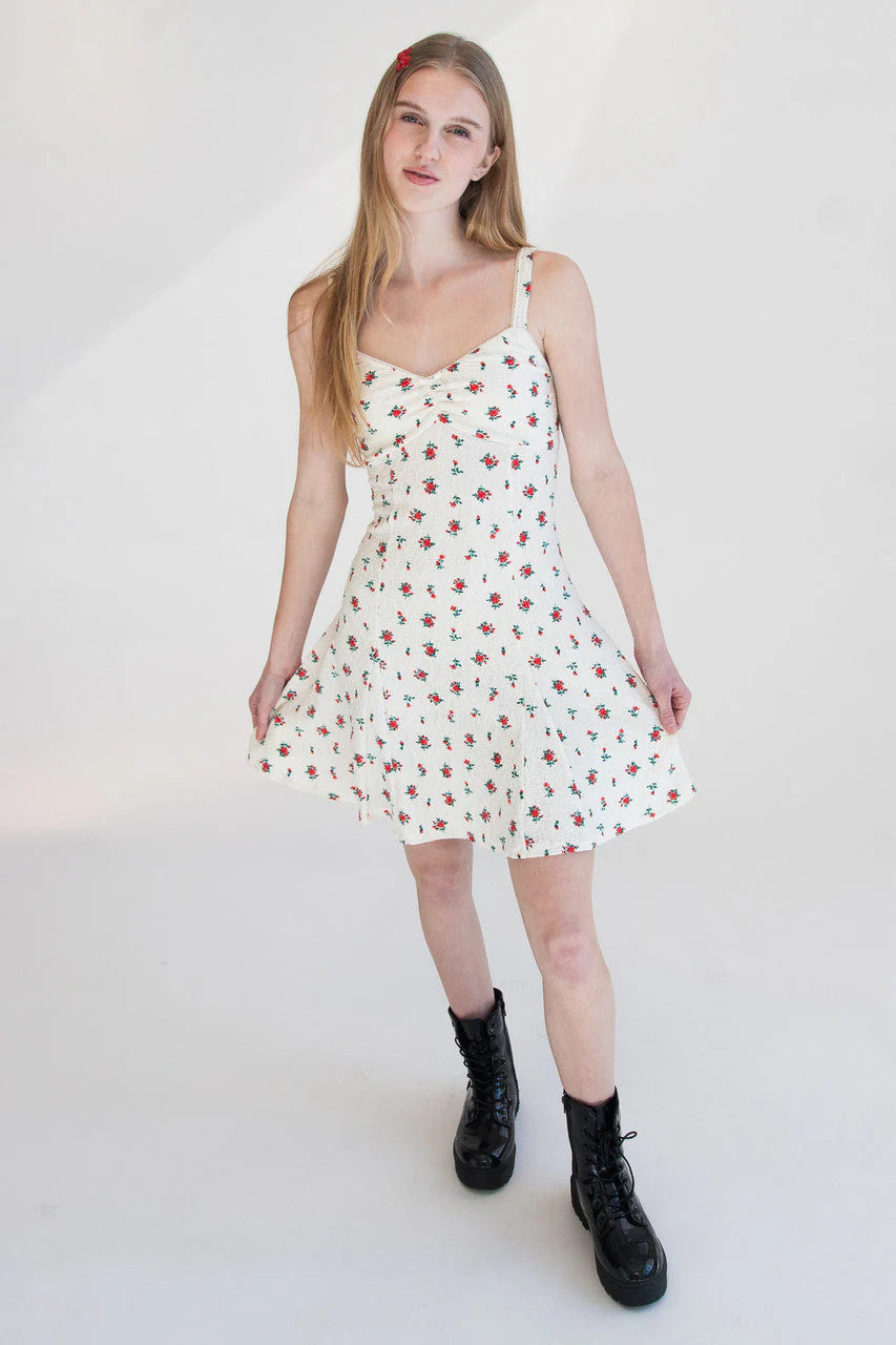Rose Print Fit & Flare Mini Dress